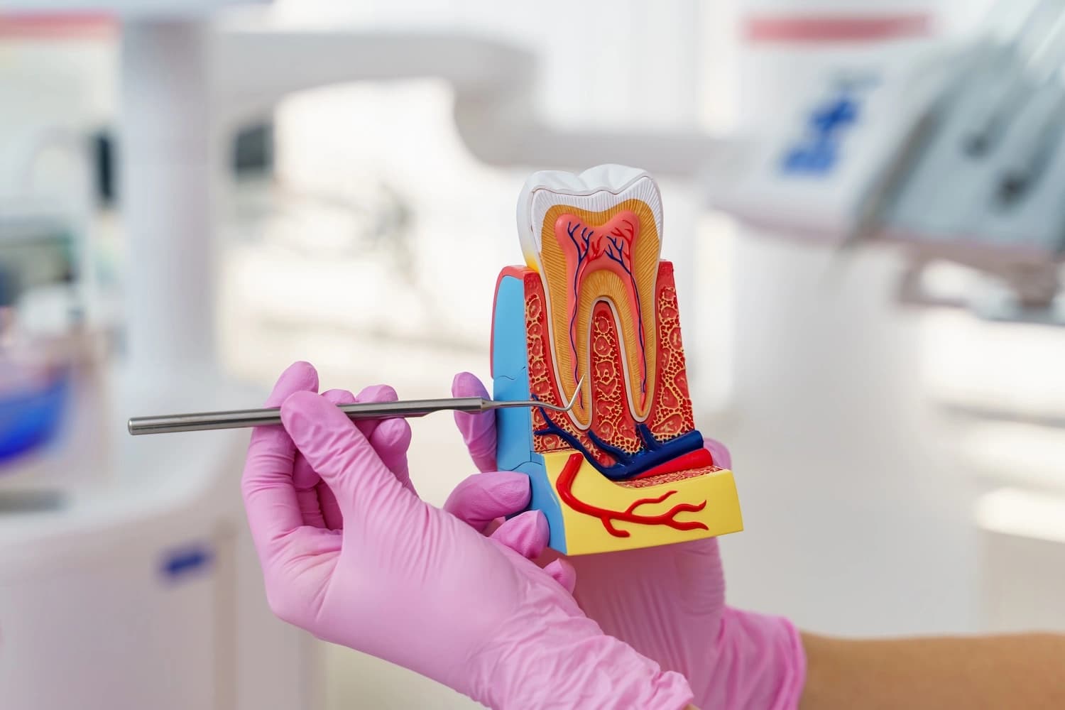 Endodontia